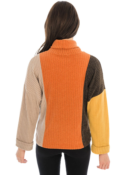 Color block  turtleneck.